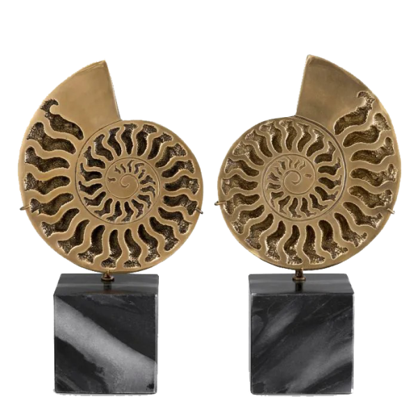 OBJECT AMMONITE SET OF 2