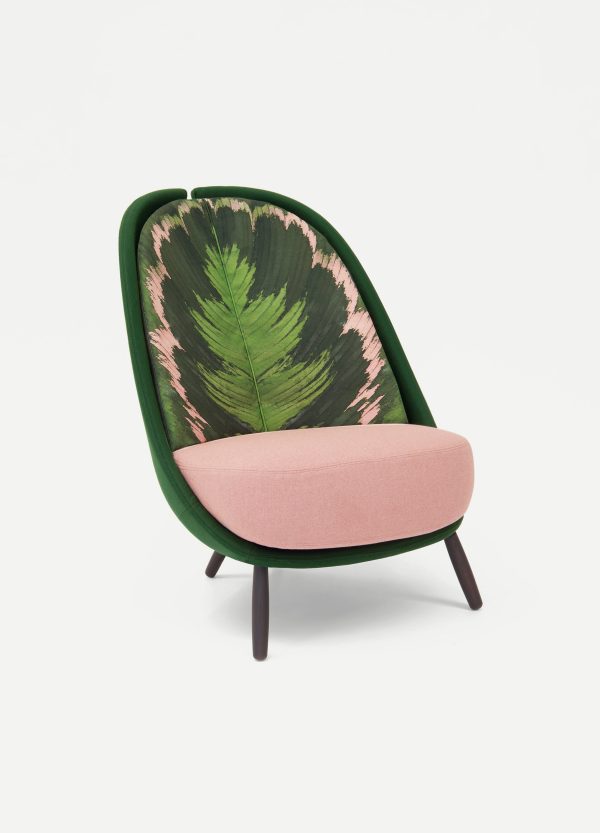 Armchair Calatea