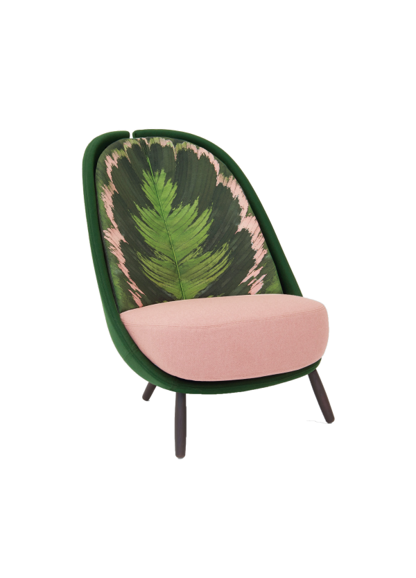 Armchair Calatea