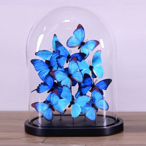 BLUE BUTTERFLIES GLOBE 33
