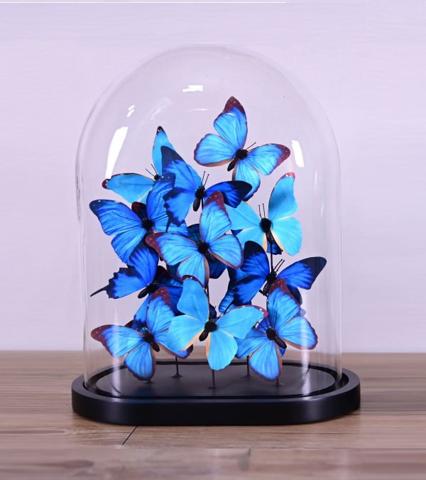 BLUE BUTTERFLIES GLOBE 33
