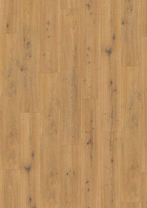 Honey Predaia Oak