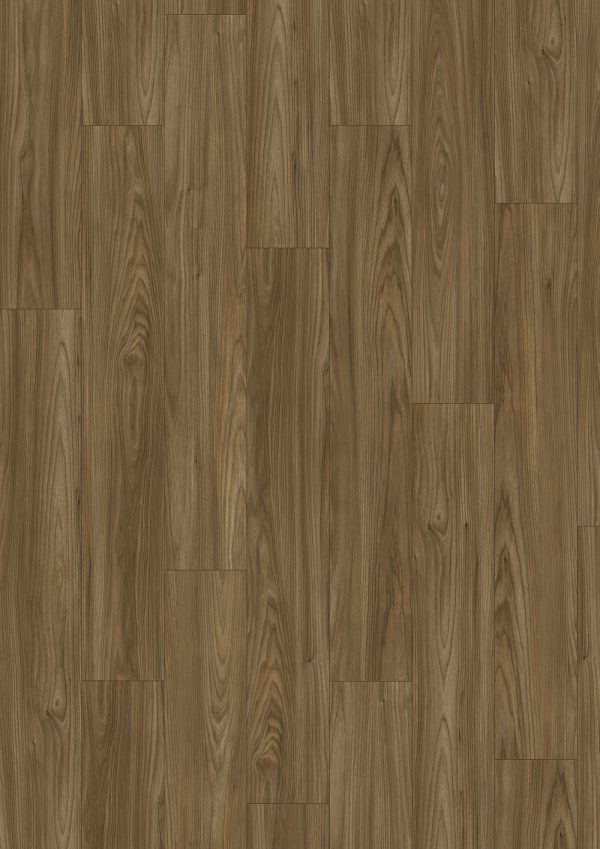Brown Sheffield Acacia