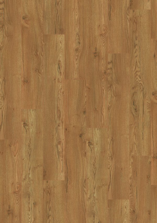 Olchon Oak Honey